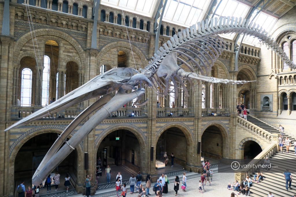 Londra Natural History Museum